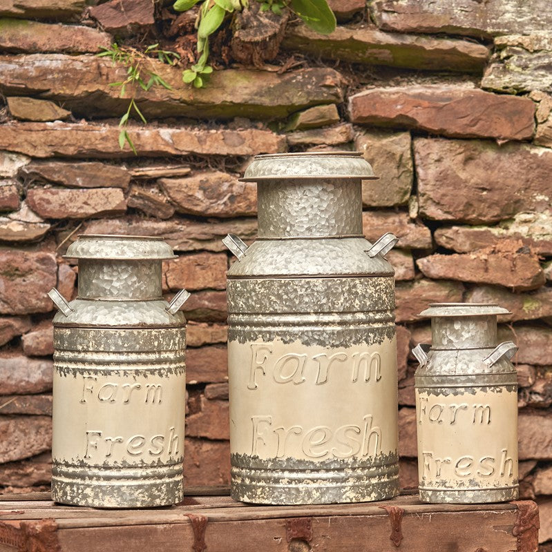 Set of 3 Galvanized Old Style Milk Can Planters in Cream