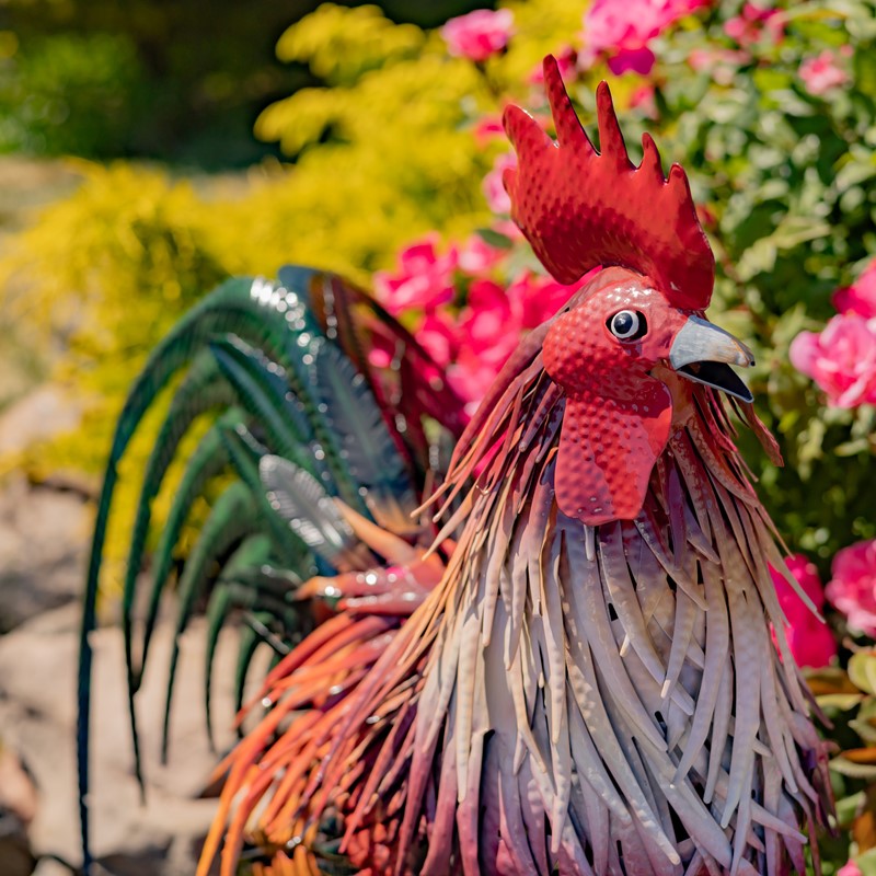 28" Tall Painted Iron Rooster Decoration "Leopold"