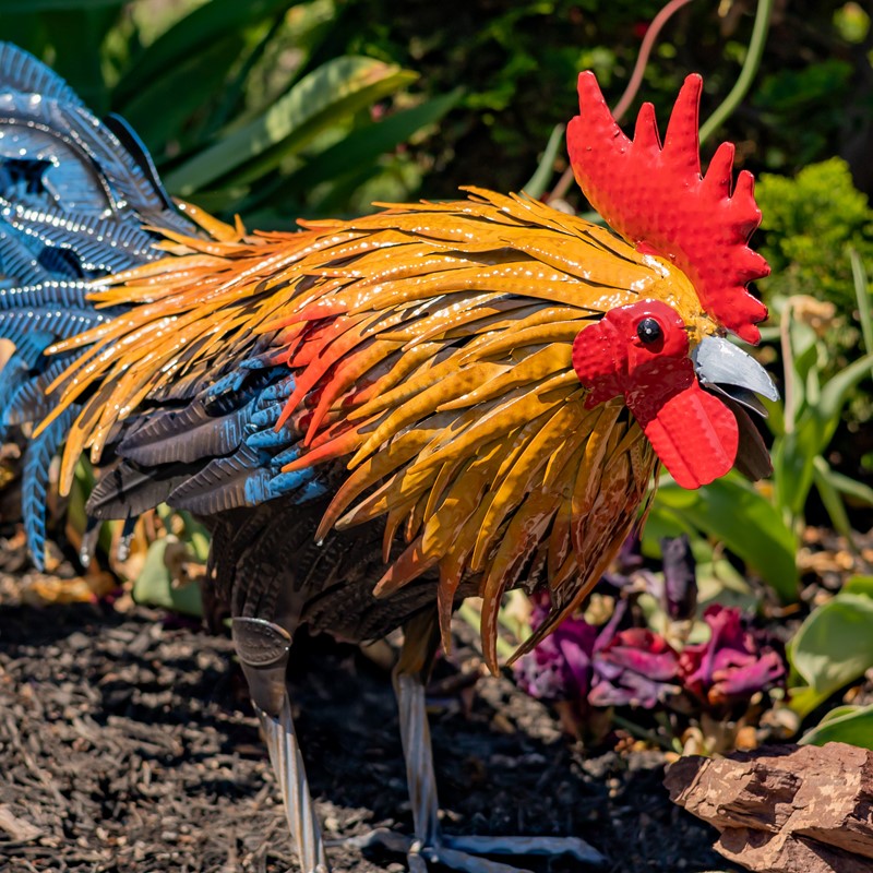 21.25" Tall Painted Iron Rooster Decoration "Maxwell"