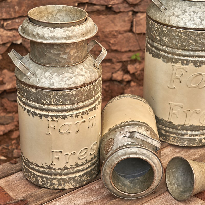 Set of 3 Galvanized Old Style Milk Can Planters in Cream