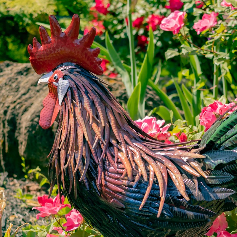 29" Tall Painted Iron Rooster Decoration "Felix"