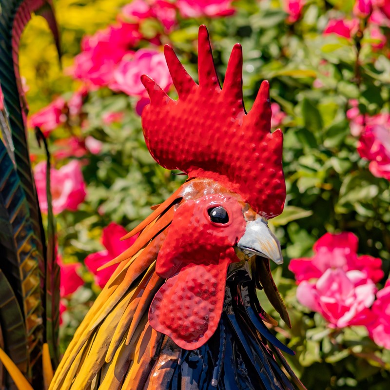 29.28" Tall Painted Iron Rooster Decoration "Hugo"