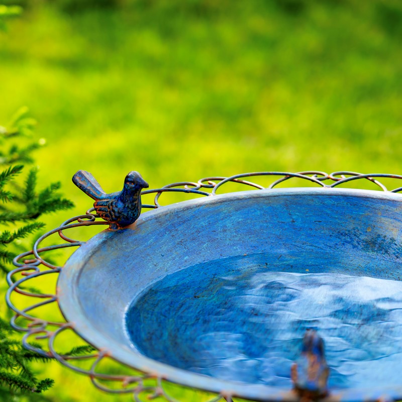 28.75" Tall Ornate Iron Birdbath with 3 Small Birds in Cobalt Blue "Stephania"