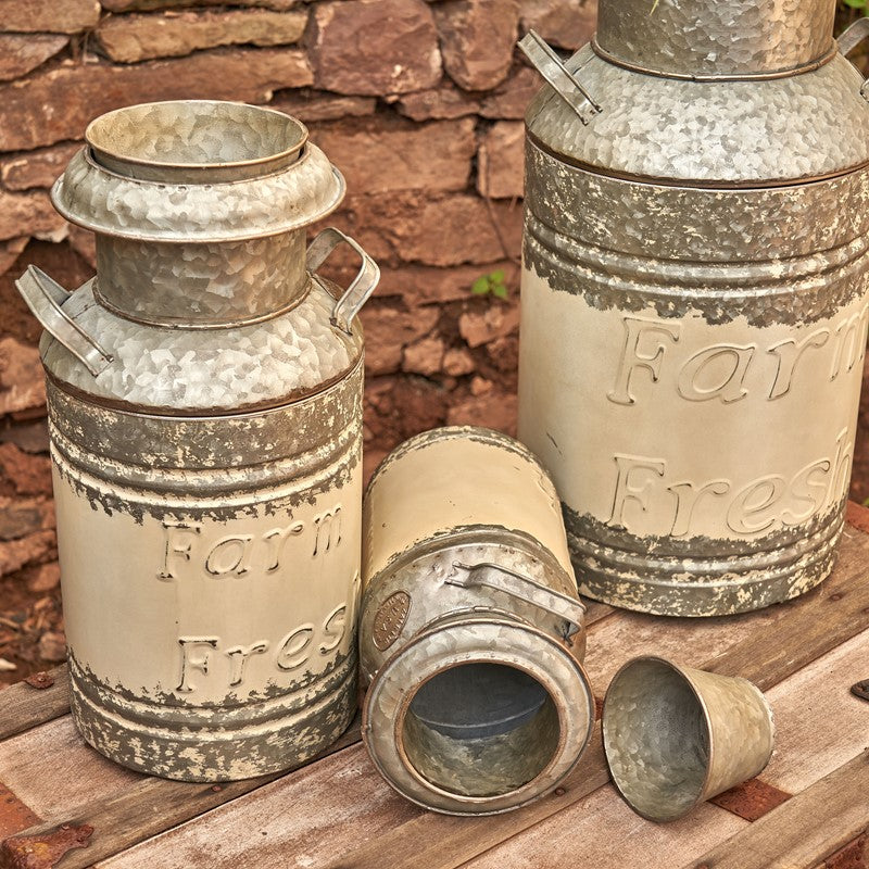 Set of 3 Galvanized Old Style Milk Can Planters in Cream