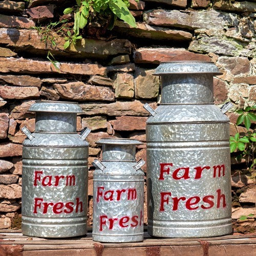 Set of 3 Galvanized Old Style Milk Jug Planters in Red