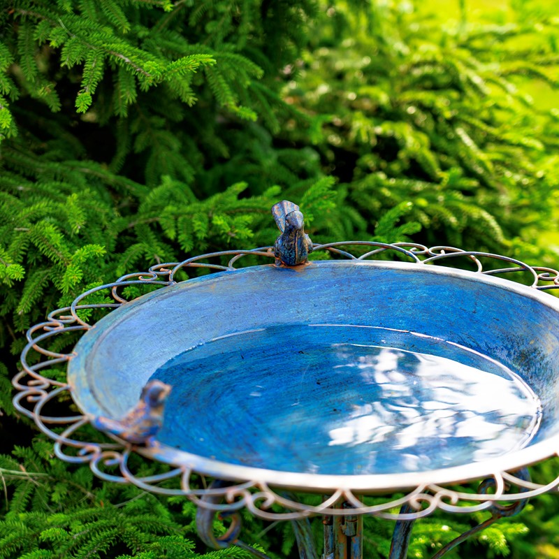28.75" Tall Ornate Iron Birdbath with 3 Small Birds in Cobalt Blue "Stephania"
