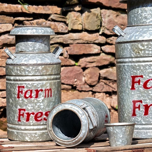 Set of 3 Galvanized Old Style Milk Jug Planters in Red
